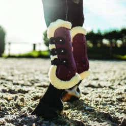 Peesbeschermers QHP Ontario Donkerrood -Weath Paard Winkel peesbeschermers qhp ontario donkerrood 1500x1500 120610