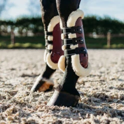 Peesbeschermers QHP Ontario Donkerrood -Weath Paard Winkel peesbeschermers qhp ontario donkerrood 1500x1500 155893