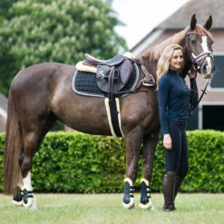 Peesbeschermers QHP Ontario Zwart -Weath Paard Winkel peesbeschermers qhp ontario zwart 1500x1500 155892