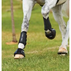 Peesbeschermers WeatherBeeta Eventing Front Zwart -Weath Paard Winkel peesbeschermers weatherbeeta eventing front zwart 1500x1500 137246