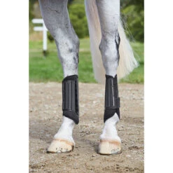 Peesbeschermers WeatherBeeta Eventing Hind Zwart -Weath Paard Winkel peesbeschermers weatherbeeta eventing hind zwart 1500x1500 137253