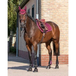 Peesbeschermerset QHP Donkerrood -Weath Paard Winkel peesbeschermerset qhp donkerrood 1500x1500 128274