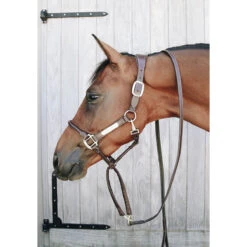 Presentatielijn Kentucky Bruin -Weath Paard Winkel presentatielijn kentucky bruin 1500x1500 137556