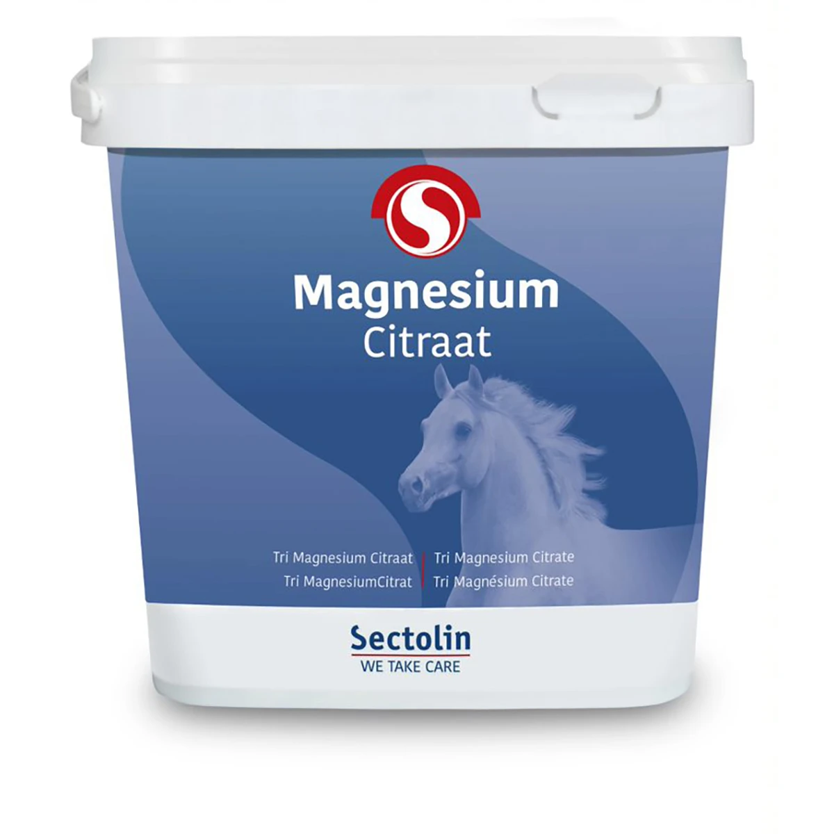 Sectolin Magnesium Diverse 1 Sectolin Magnesium Diverse