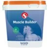Sectolin Muscle Builder Met L-Carnitine Overige