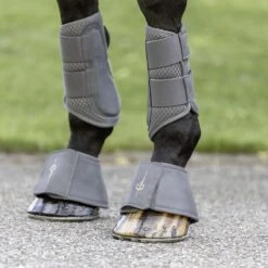 Springschoenen Covalliero Grijs -Weath Paard Winkel springschoenen covalliero grijs 1500x1500 176135