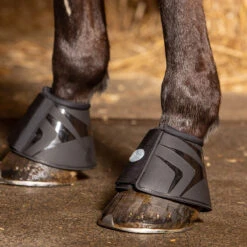 Springschoenen Harry's Horse Pro-High Zwart -Weath Paard Winkel springschoenen harry s horse pro high zwart 1500x1500 134495