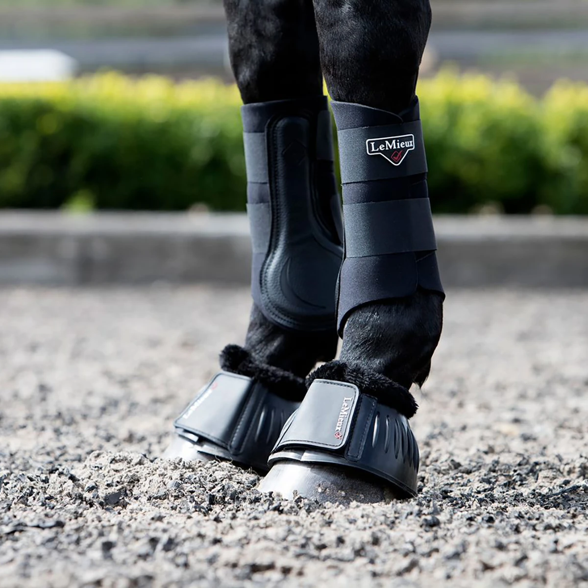 Springschoenen LeMieux Fleece Zwart 2 Springschoenen LeMieux Fleece Zwart - Afbeelding 2