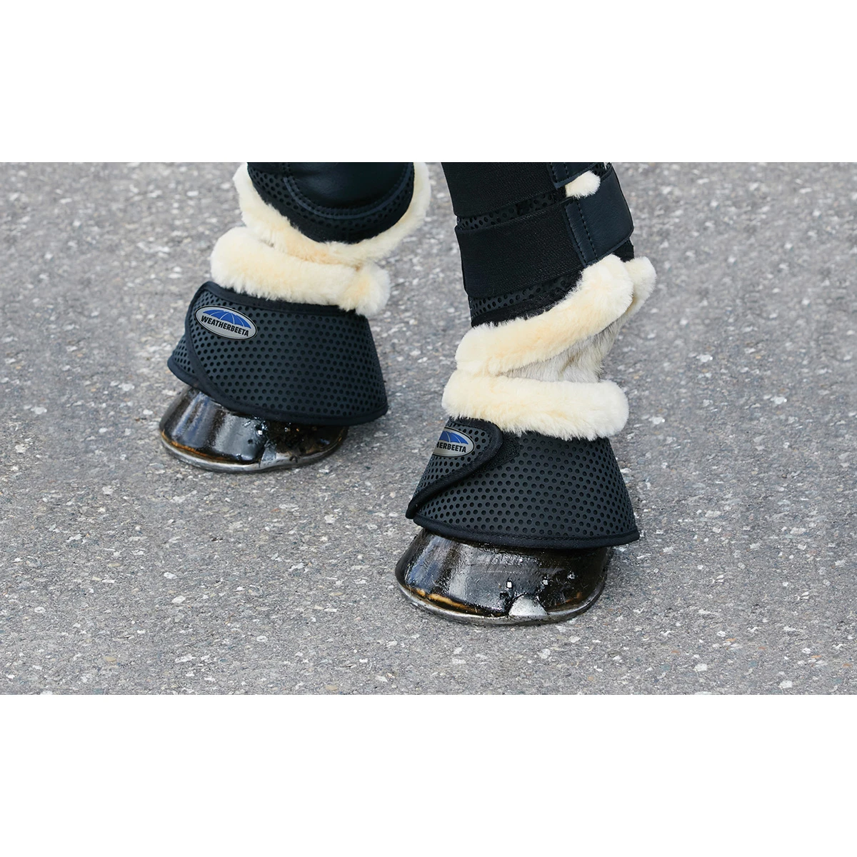 Springschoenen WeatherBeeta Pure Wool Zwart 2 Springschoenen WeatherBeeta Pure Wool Zwart - Afbeelding 2