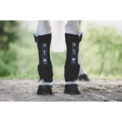 Stalbeschermers Kentucky Recuptex Zwart -Weath Paard Winkel stalbeschermers kentucky recuptex zwart 1500x1500 137849