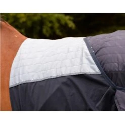 Staldeken Bucas Therapy Donkerblauw-zilver -Weath Paard Winkel staldeken bucas therapy donkerblauw zilver 1500x1500 112771