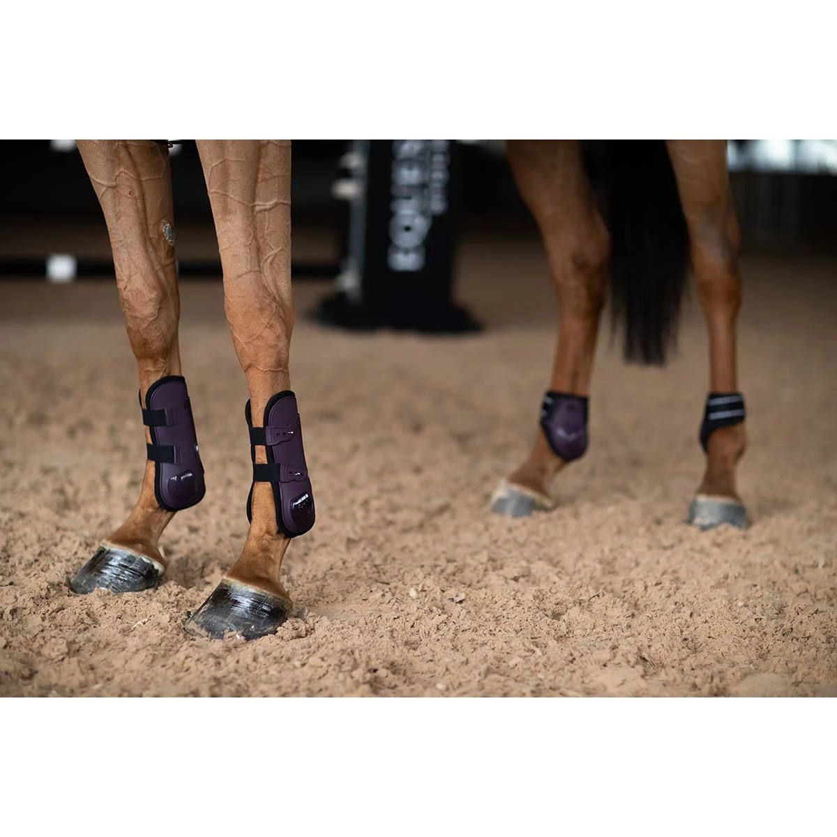 Strijklappen Equestrian Stockholm Black Raven Paars 3 Strijklappen Equestrian Stockholm Black Raven Paars - Afbeelding 3