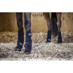 Tendon Chill Boots LeMieux Zwart -Weath Paard Winkel tendon chill boots lemieux zwart 1500x1500 143343