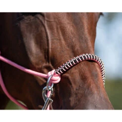 Touwhalster Combi QHP Liberty Roze -Weath Paard Winkel touwhalster combi qhp liberty roze 1500x1500 124645