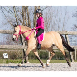 Touwhalster QHP Met Teugels Donkerroze -Weath Paard Winkel touwhalster qhp met teugels donkerroze 1500x1500 101207