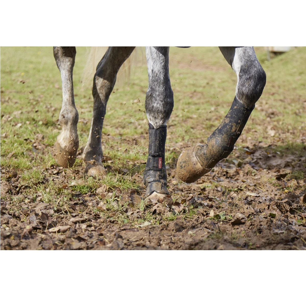 Turnout Boots LeMieux Zwart 2 Turnout Boots LeMieux Zwart - Afbeelding 2