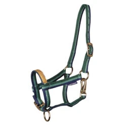 Veulenhalster Harry's Horse Anton Lichtgroen