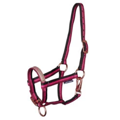 Veulenhalster Harry's Horse Anton Roze