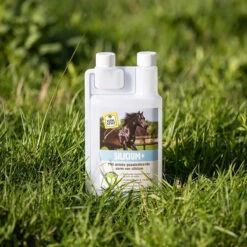 VITALstyle Silicium+ Overige -Weath Paard Winkel vitalstyle siliciump overige 1500x1500 172883