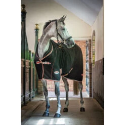 Zweetdeken WeatherBeeta Therapy-Tec Zwart-zilver 6 Zweetdeken WeatherBeeta Therapy-Tec Zwart-zilver -Weath Paard Winkel zweetdeken weatherbeeta therapy tec zwart zilver 1500x1500 135339