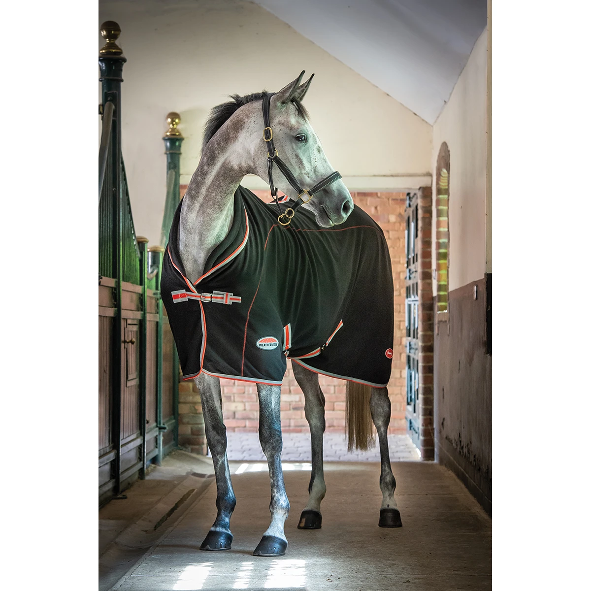 Zweetdeken WeatherBeeta Therapy-Tec Zwart-zilver 3 Zweetdeken WeatherBeeta Therapy-Tec Zwart-zilver - Afbeelding 3